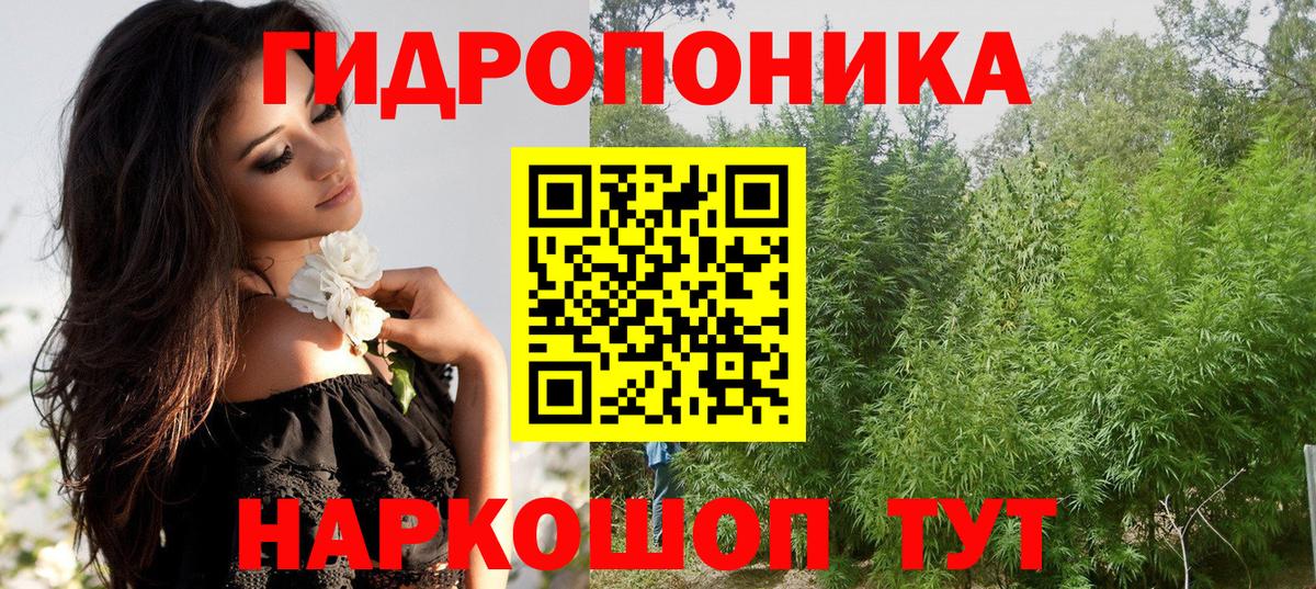 Бошки марихуана AK-47  Марихуана White Widow  Шишки марихуана ГИДРОПОН  Вход с VPN  Санкт-Петербург  Каннабис White Widow 